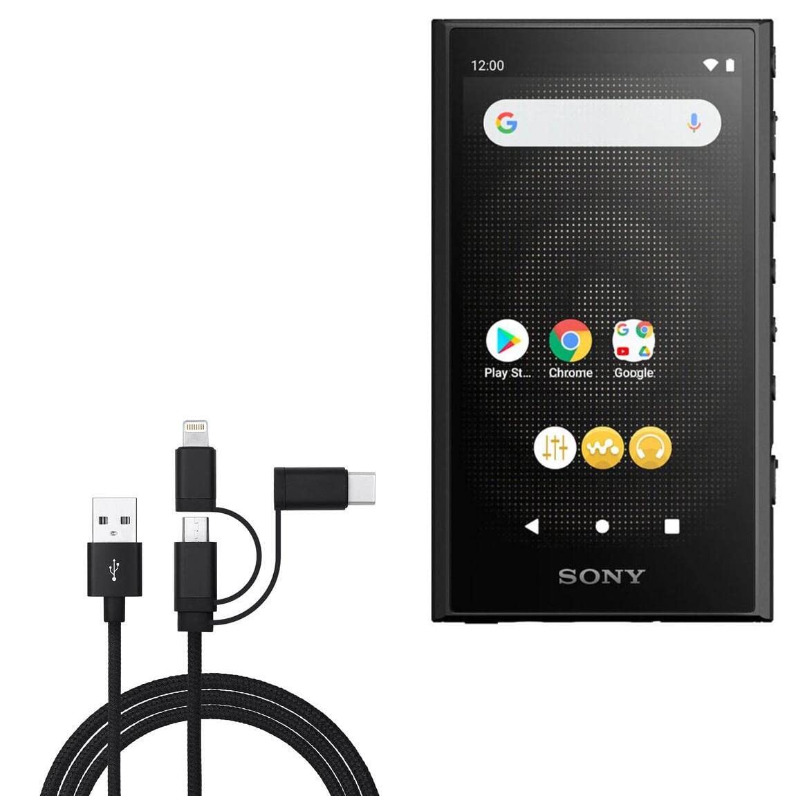 Amazon.co.jp: BoxWaveケーブル Sony Walkman (NW-A306) 対応